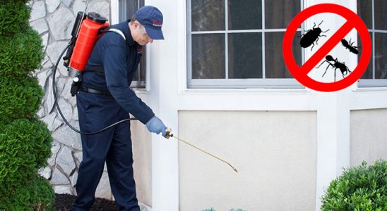 Limontepe Dezenfeksiyon böcek ilaçlama ve haşere kontrolü — ilaclama-tr.com